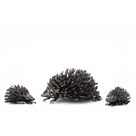 Hedgehog Family Hedgehog Family