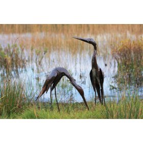 Baby Heron