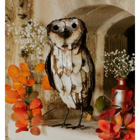 Barn Owl