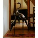 Mother and Baby Heron