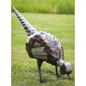 Pheasant