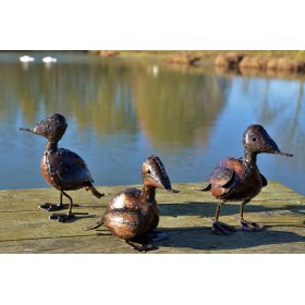 Ducklings