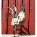 Cockerel