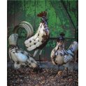 Hen
