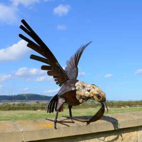 Fish Eagle