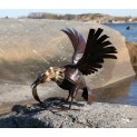 Fish Eagle