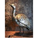 Guinea Fowl 