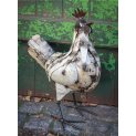 Hen