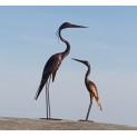 Mother and Baby Heron