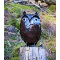 Horned Owl