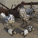 Cockerel, Hen & 3 Chicks