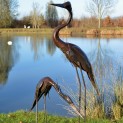 Mother and Baby Heron