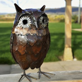 Horned Owl