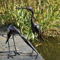 Baby Heron