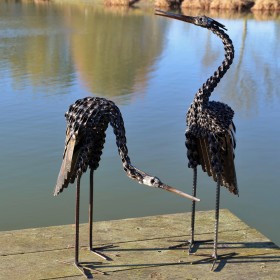 Baby Twisted Heron