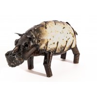 Baby Hippo 