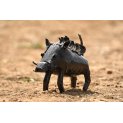 Hoglet