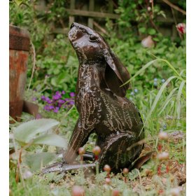Moongazing Hare 