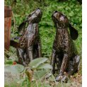 Moongazing Hare 