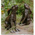 Moongazing Hare 