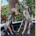 Moongazing Hare 