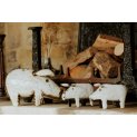 Pig Family
