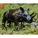 Baby Rhino
