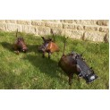 Warthog