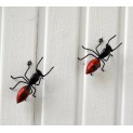 Red Ant