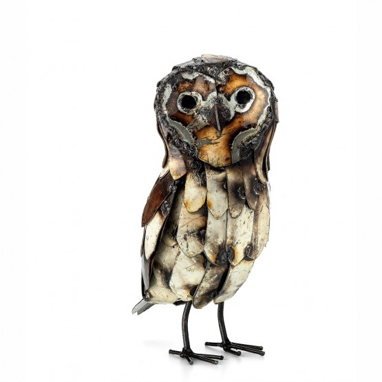 Barn Owl