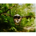 Flying Barn Owl
