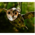 Flying Barn Owl
