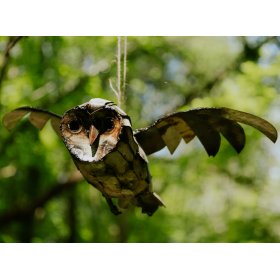 Flying Barn Owl