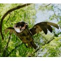 Flying Barn Owl