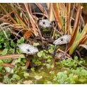 Silver Frog