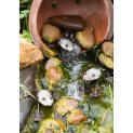 Silver Frog