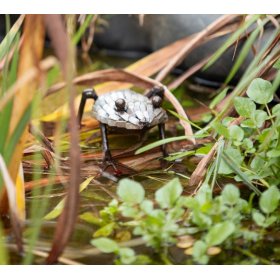 Silver Frog