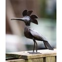 Hoopoe bird
