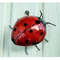 Ladybird