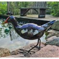 Moorhen