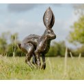 Leaping Hare