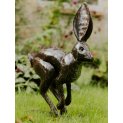 Leaping Hare