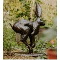 Leaping Hare