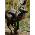 Leaping Hare