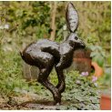 Leaping Hare
