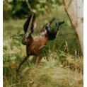 Running Hare