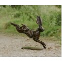 Running Hare