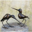Sandpiper