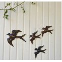 Small Swallow