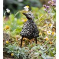 Twisted Guinea Fowl Chick